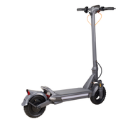 SturdyMove 800 Pro